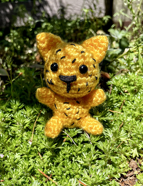 Leopard