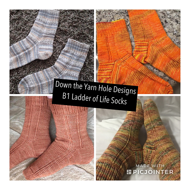Ladder Of Life Socks