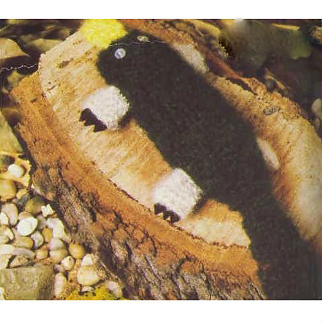 Platypus