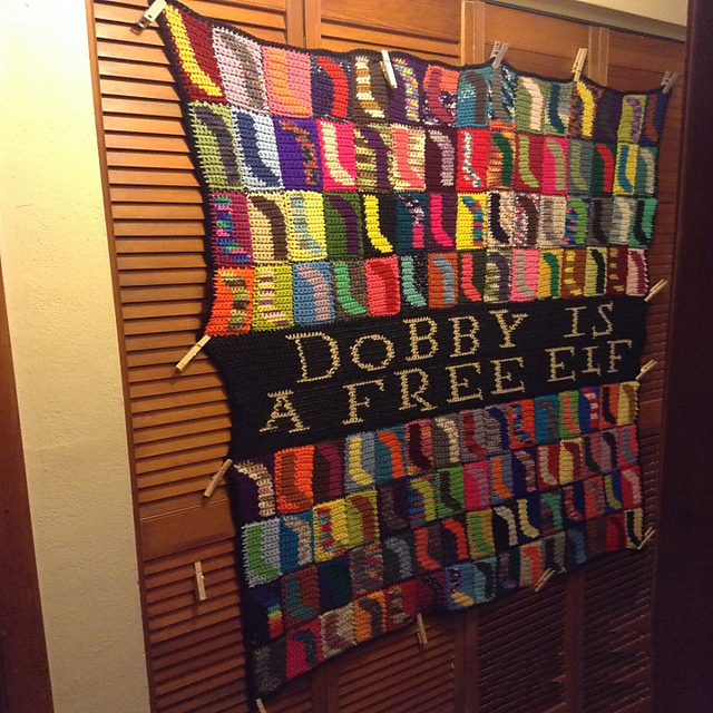 Dobby is a Free Elf Afghan