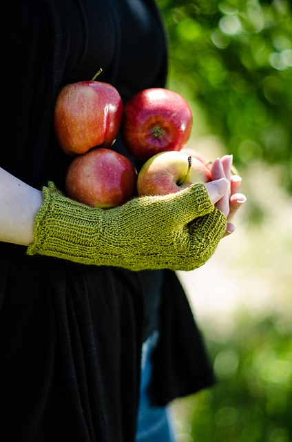 Meadow Vale Mitts / Norfolk