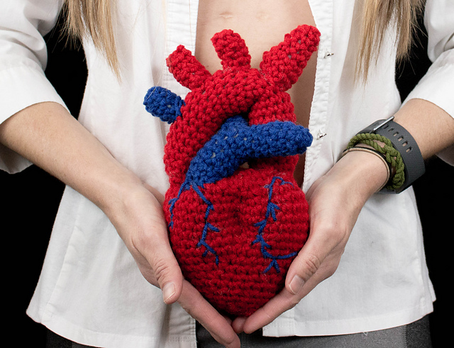Anatomical Heart Surgery Trophy