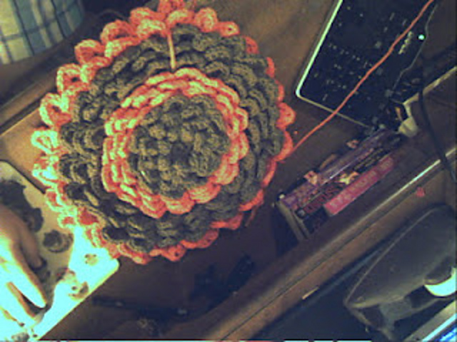 Big petaled