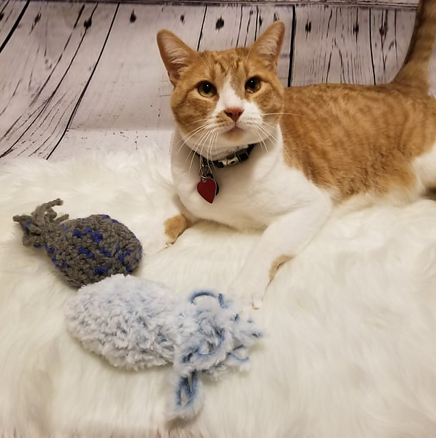 Octo-Cat Cat Nip Toy