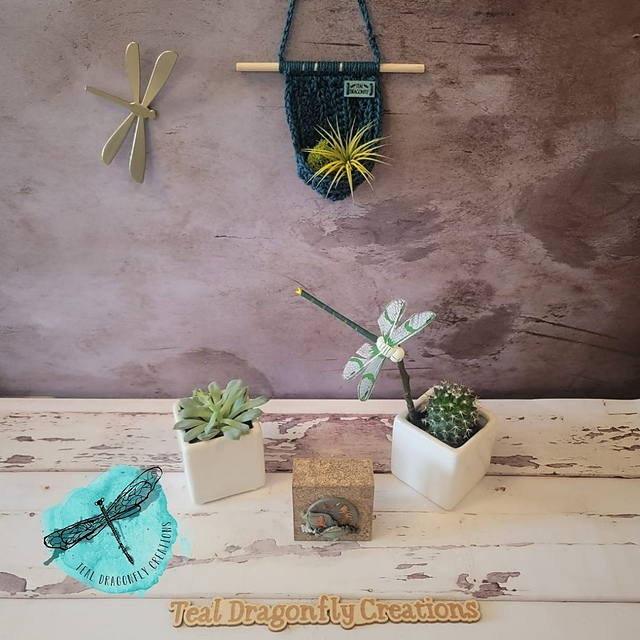Grace Air Plant Hanger