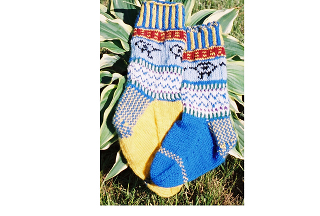 Tut's Toes