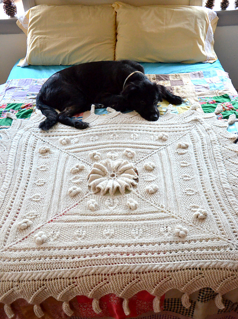Geneva Afghan