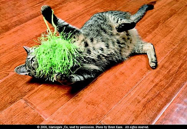 Felted Furry Cat Toys