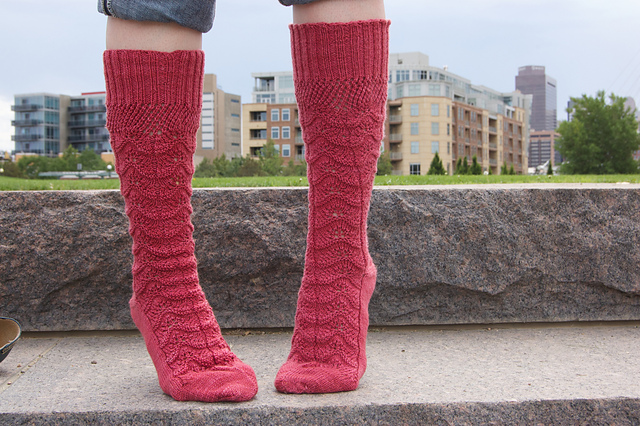 Craftsy Ladies Lace Knee Socks