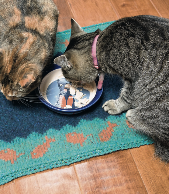 Kitty Placemat