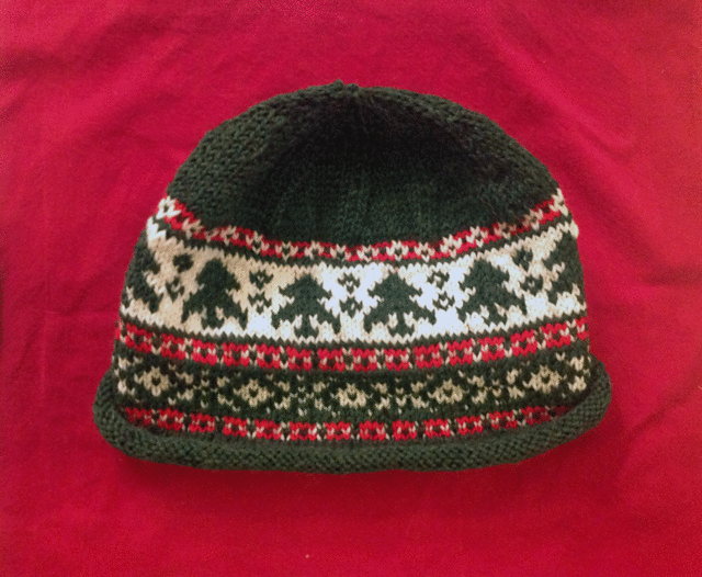 Cozy Christmas Rolled Brim Hat