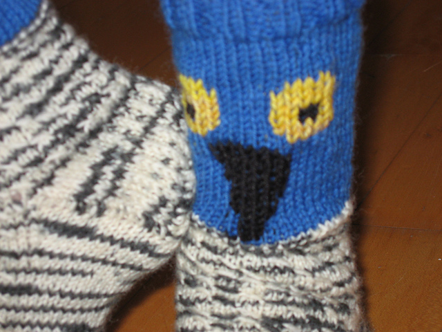 Jastrząb (children's hawk socks)