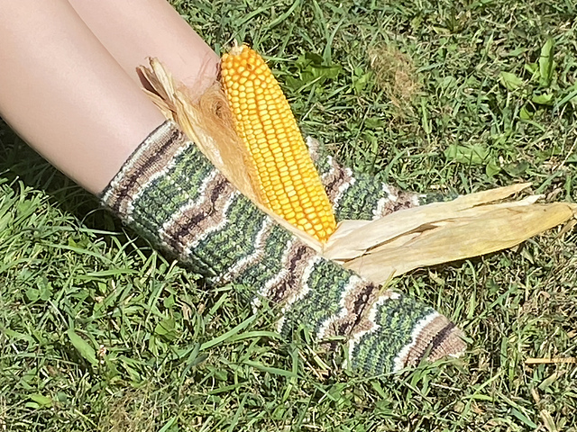 Iowa: Cornfield of Dream