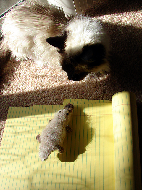 Petite Platypus