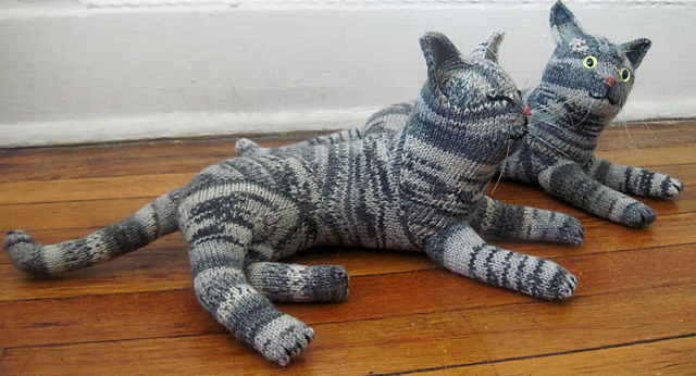 Nuvo the Gray Tabby