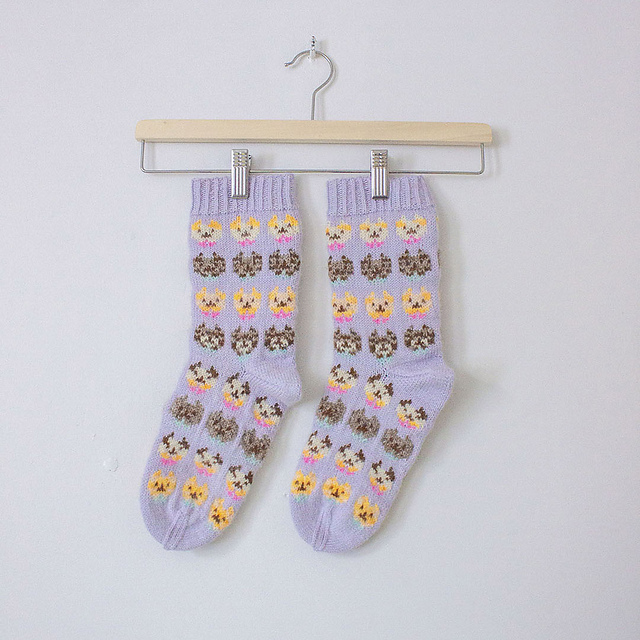 Kissakestit | Kitten fête