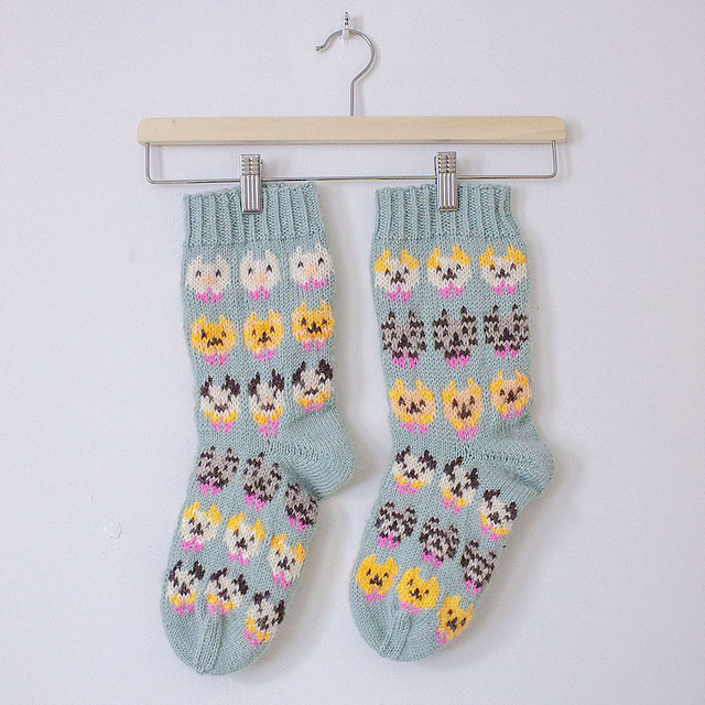 Kissakestit | Kitten fête DK
