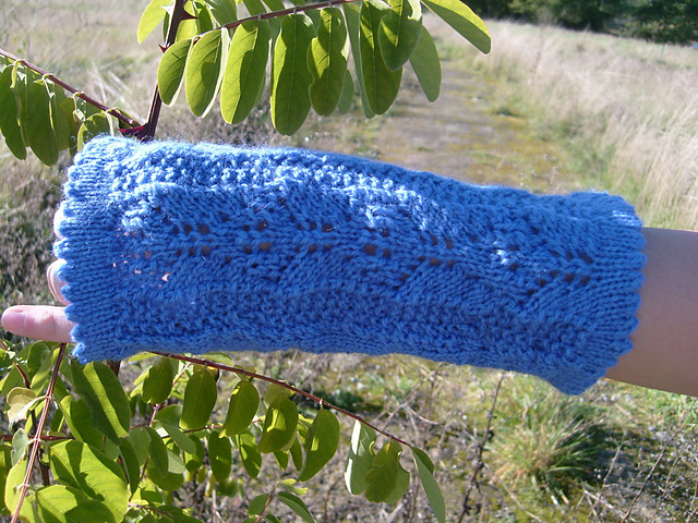 Vicky's Lace Gloves