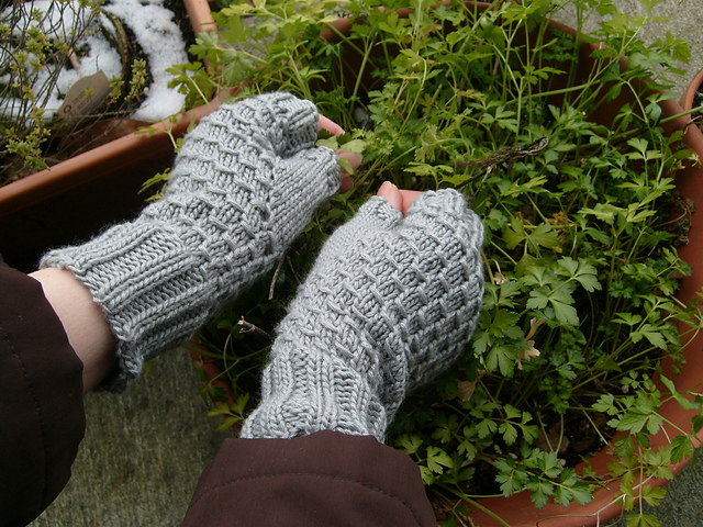 Asparagus Fingerless Mitts