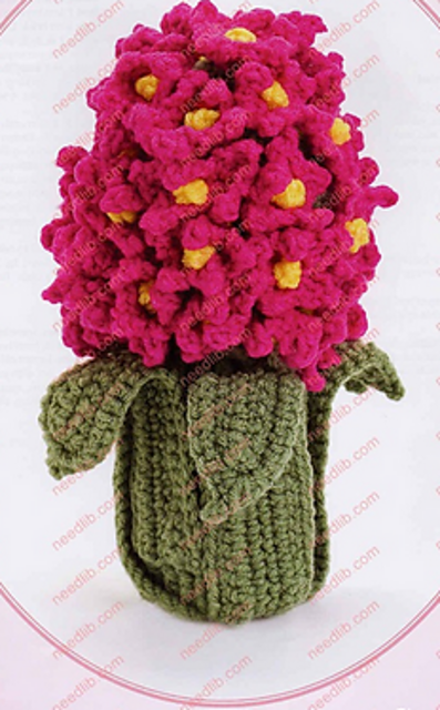 Heartwarming Hyacinth