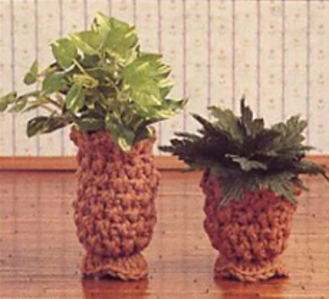 Breakfast Room: Potted Plants