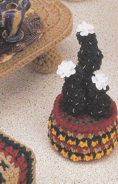 Santa Fe Style: Cactus Planter
