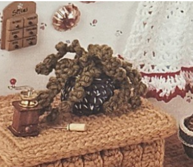 Kitchen Plant