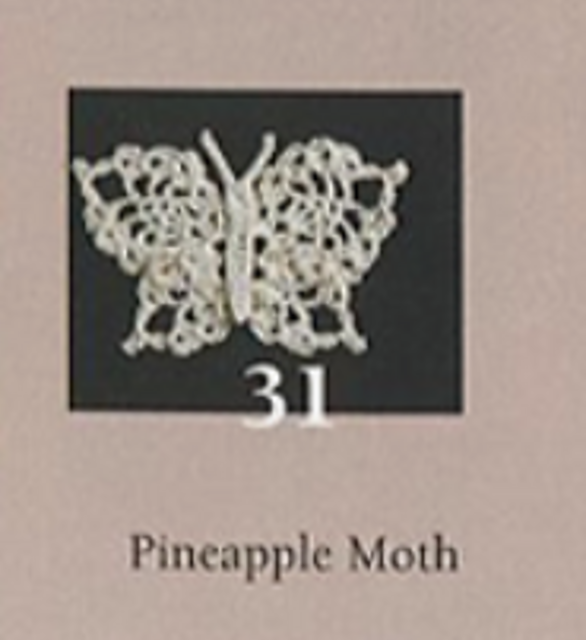 Pineapple Moth