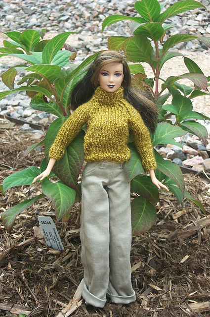 Cashmere Turtleneck