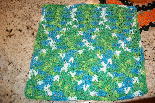 Dishcloth #2