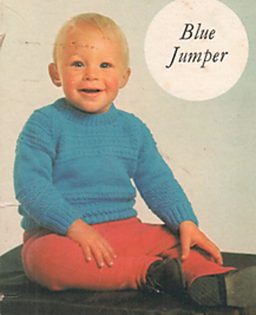 Blue jumper