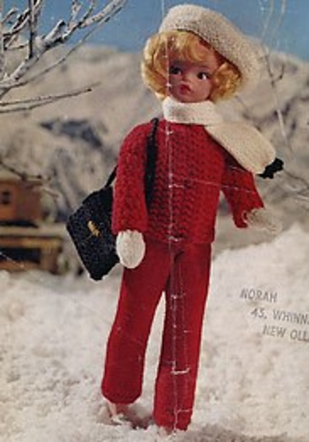 Stylish Ski Set