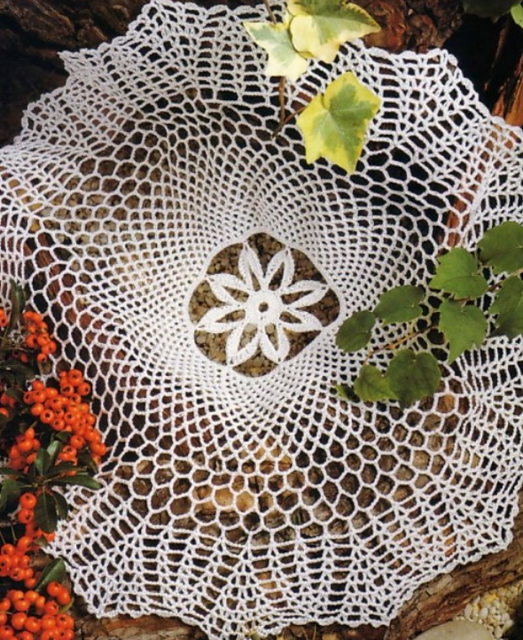 Cactus Flower