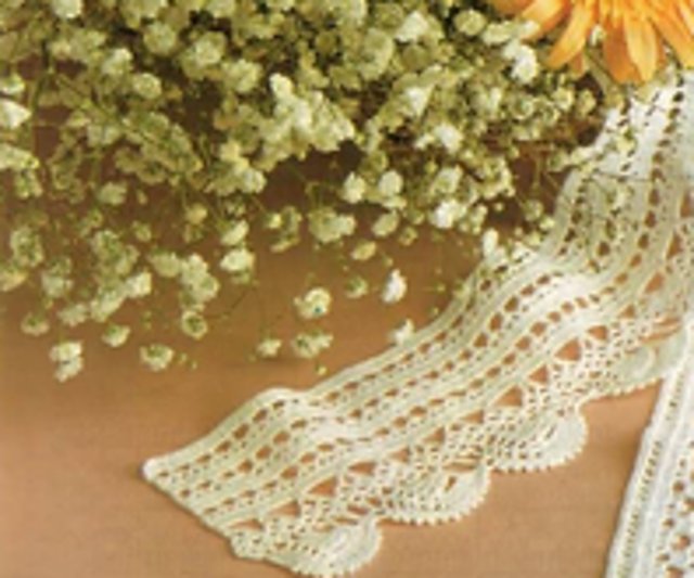 Scallop Lace