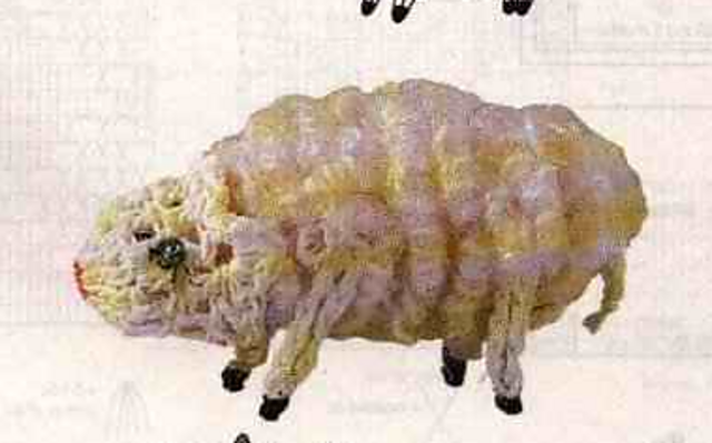White Sheep