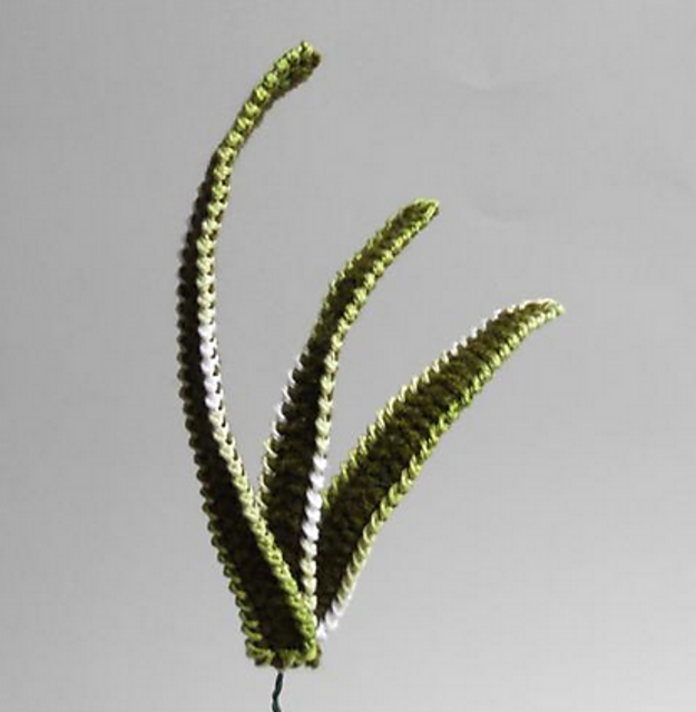 Long Leaf