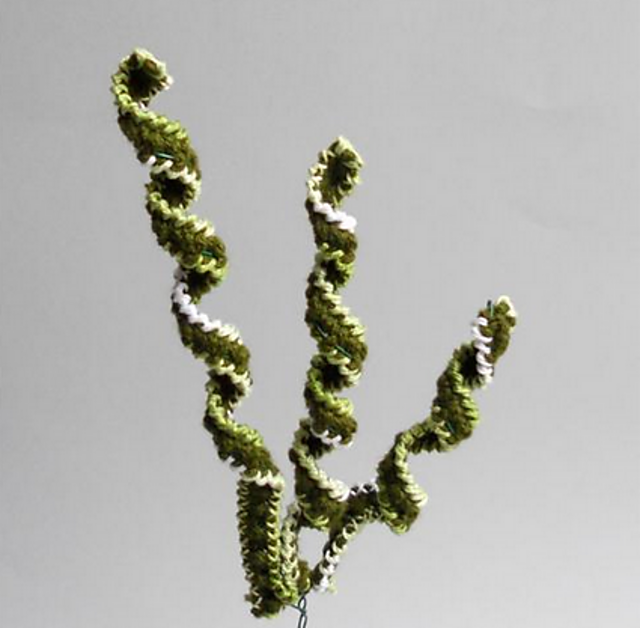Decorative Curl