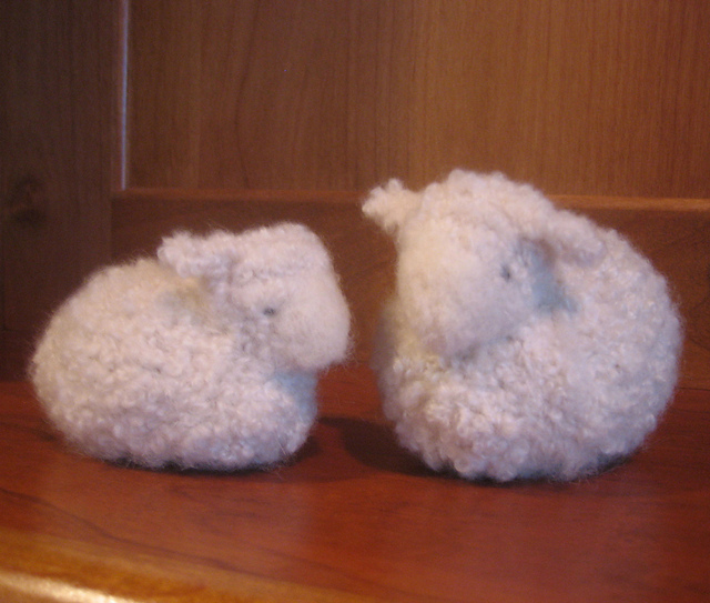 Boucle Sheep