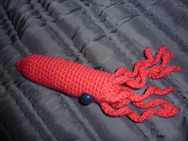 Squid