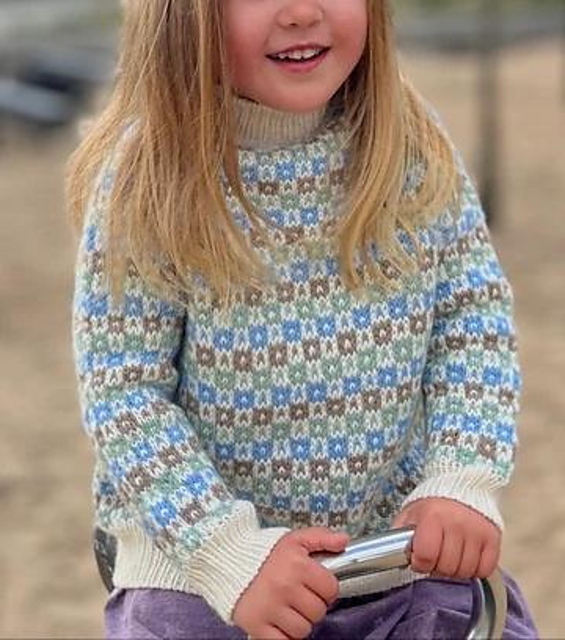Easy Colour Sweater Junior