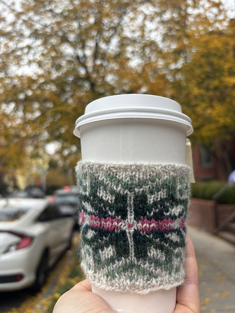 Cassiopeia Cup Cozy
