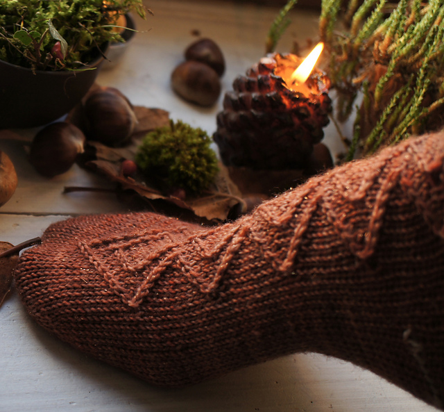 Les chaussettes de Remus Lupin