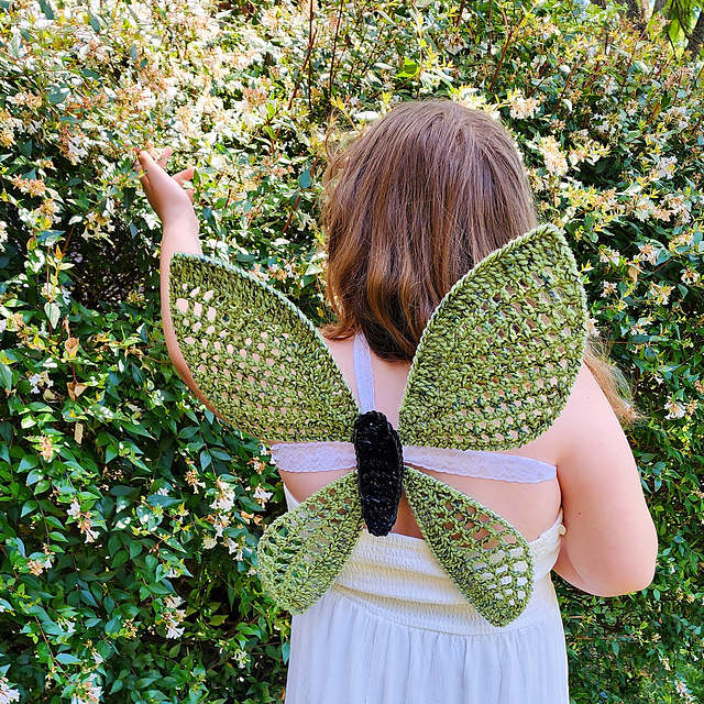 Butterfly Wings