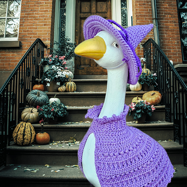 Porch Goose Witch Costume