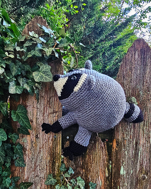 Jimothy the Raccoon