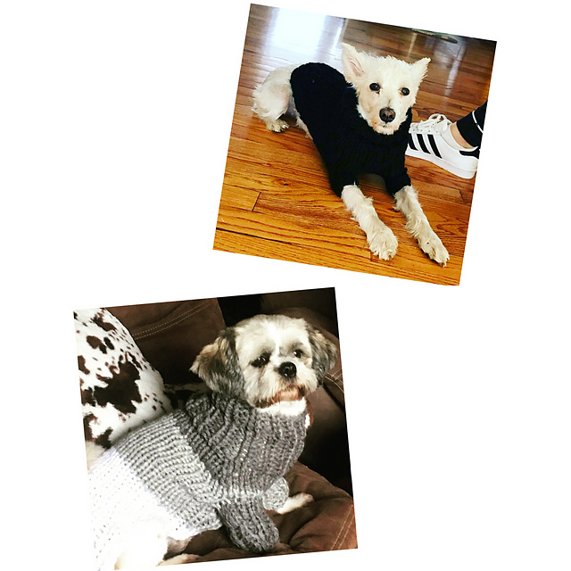 Modern Turtleneck Dog Sweater