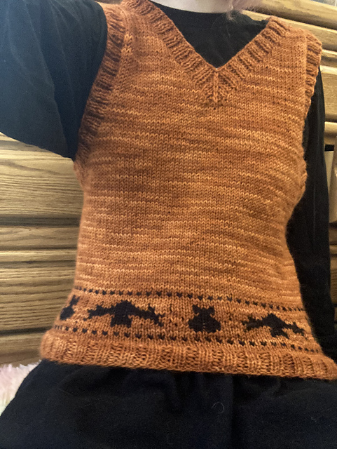 Cats and Bats Vest