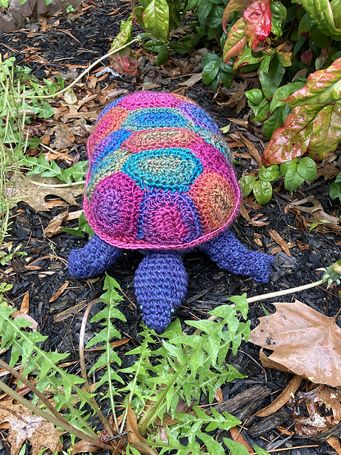 Geode Tortoise