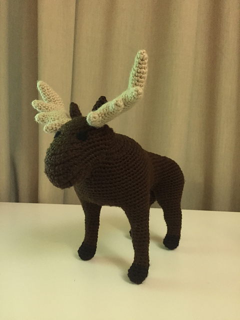 Moose