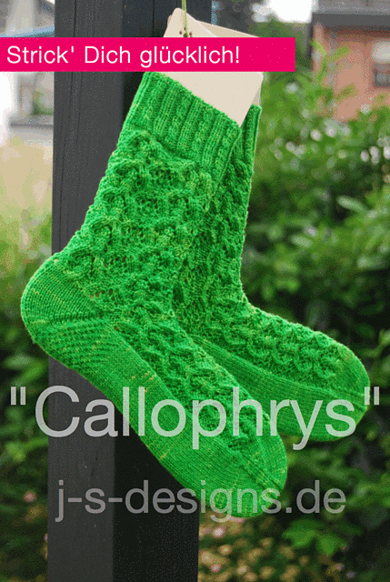 Callophrys